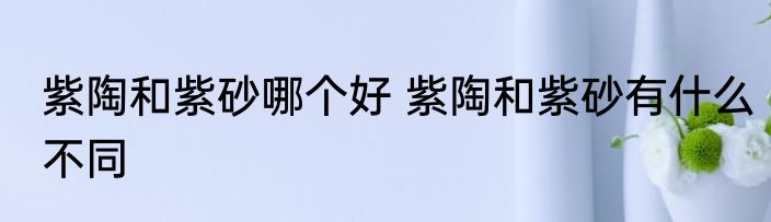 紫陶和紫砂哪个好 紫陶和紫砂有什么不同