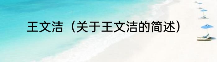 王文洁（关于王文洁的简述）