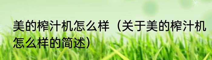 美的榨汁机怎么样（关于美的榨汁机怎么样的简述）