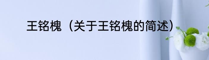王铭槐（关于王铭槐的简述）