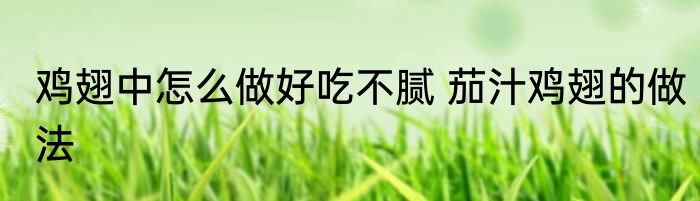 鸡翅中怎么做好吃不腻 茄汁鸡翅的做法
