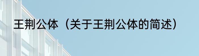 王荆公体（关于王荆公体的简述）