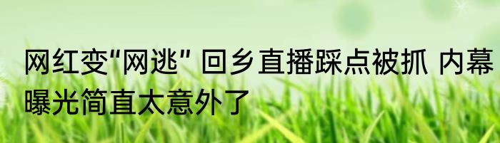 网红变“网逃” 回乡直播踩点被抓 内幕曝光简直太意外了