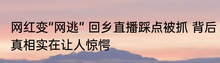 网红变“网逃” 回乡直播踩点被抓 背后真相实在让人惊愕