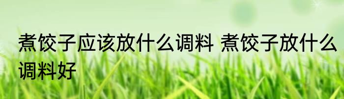 煮饺子应该放什么调料 煮饺子放什么调料好