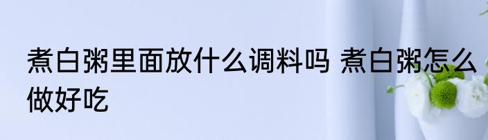 煮白粥里面放什么调料吗 煮白粥怎么做好吃