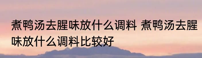煮鸭汤去腥味放什么调料 煮鸭汤去腥味放什么调料比较好