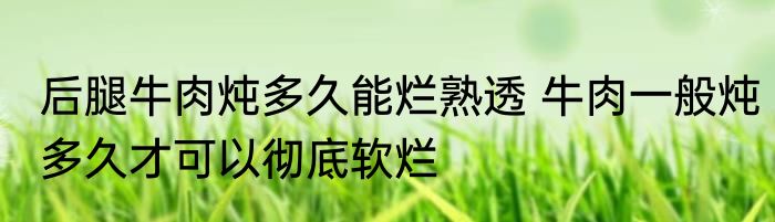 后腿牛肉炖多久能烂熟透 牛肉一般炖多久才可以彻底软烂