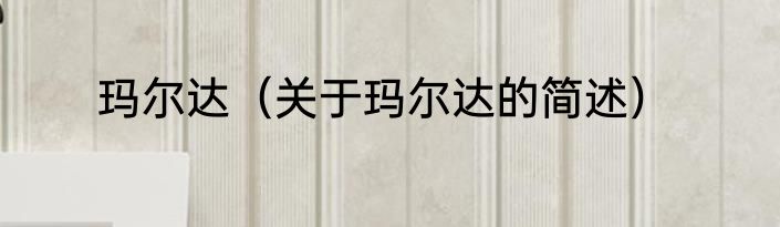 玛基娜·中岛（关于玛基娜·中岛的简述）