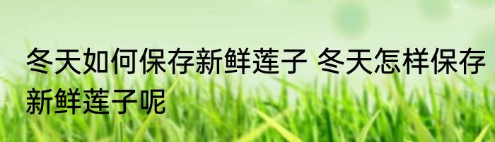 冬天如何保存新鲜莲子 冬天怎样保存新鲜莲子呢