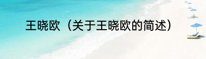 王晓欧（关于王晓欧的简述）