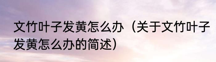 文竹叶子发黄怎么办（关于文竹叶子发黄怎么办的简述）