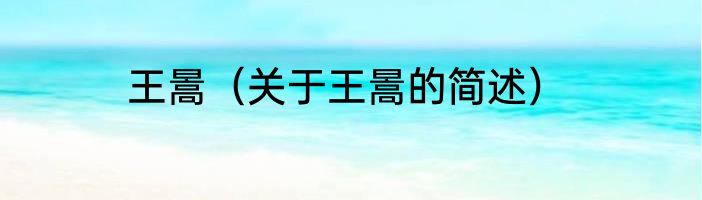 王暠（关于王暠的简述）