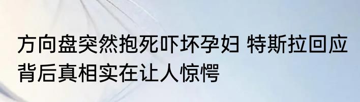 方向盘突然抱死吓坏孕妇 特斯拉回应 背后真相实在让人惊愕