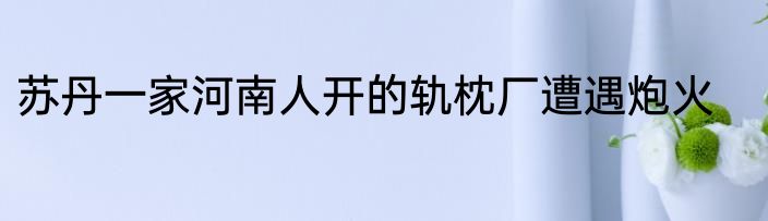 苏丹一家河南人开的轨枕厂遭遇炮火