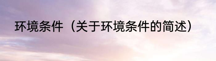 环境条件（关于环境条件的简述）