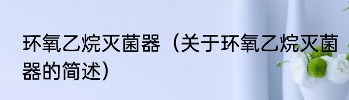环氧乙烷灭菌器（关于环氧乙烷灭菌器的简述）