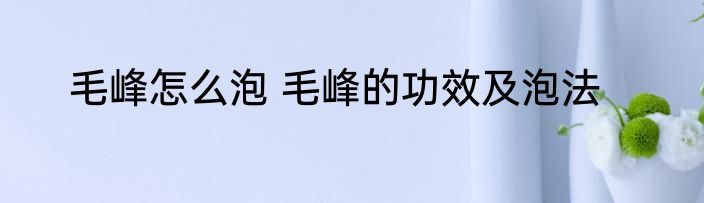 毛峰怎么泡 毛峰的功效及泡法