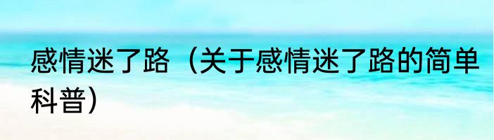 感情迷了路（关于感情迷了路的简单科普）