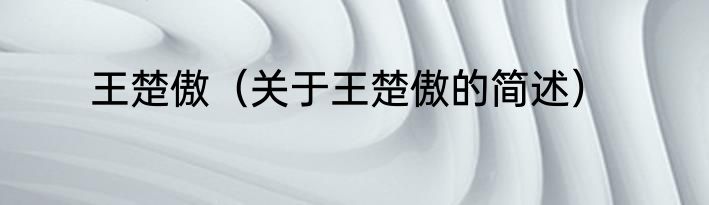 王楚傲（关于王楚傲的简述）