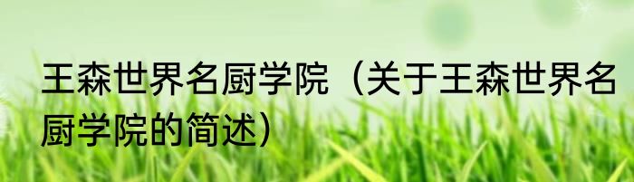 王森世界名厨学院（关于王森世界名厨学院的简述）