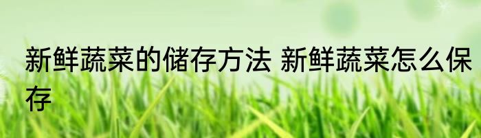 新鲜蔬菜的储存方法 新鲜蔬菜怎么保存
