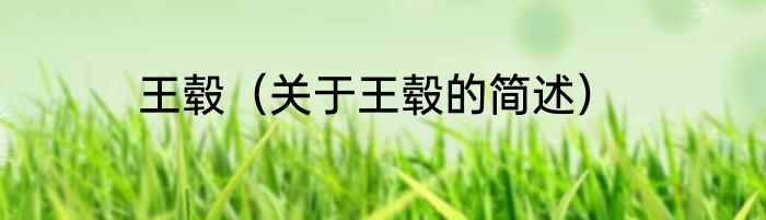 王毂（关于王毂的简述）