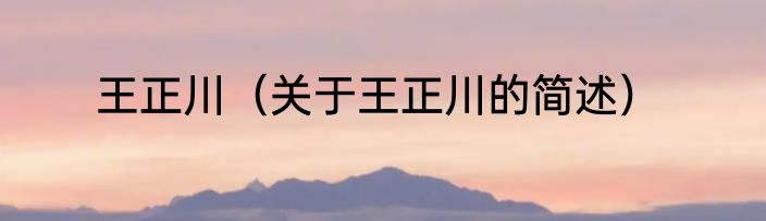 王正川（关于王正川的简述）