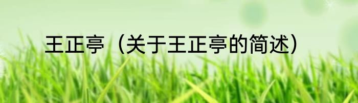 王正亭（关于王正亭的简述）