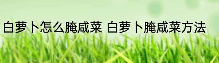白萝卜怎么腌咸菜 白萝卜腌咸菜方法