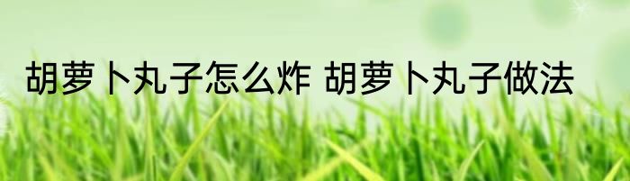 胡萝卜丸子怎么炸 胡萝卜丸子做法