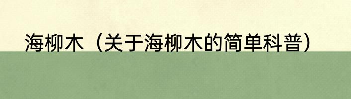 海柳木（关于海柳木的简单科普）