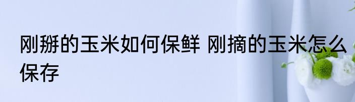 刚掰的玉米如何保鲜 刚摘的玉米怎么保存