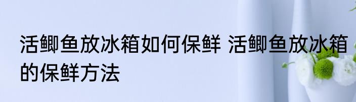 活鲫鱼放冰箱如何保鲜 活鲫鱼放冰箱的保鲜方法