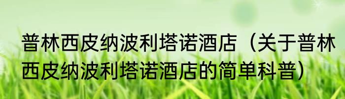 普林西皮纳波利塔诺酒店（关于普林西皮纳波利塔诺酒店的简单科普）