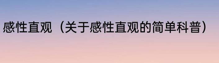 感性直观（关于感性直观的简单科普）