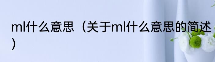 ml什么意思（关于ml什么意思的简述）