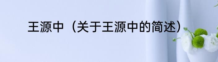 王源中（关于王源中的简述）
