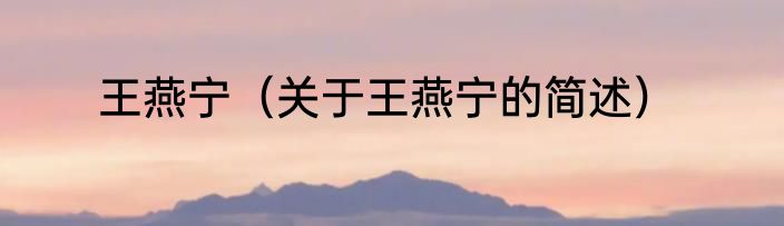 王燕宁（关于王燕宁的简述）