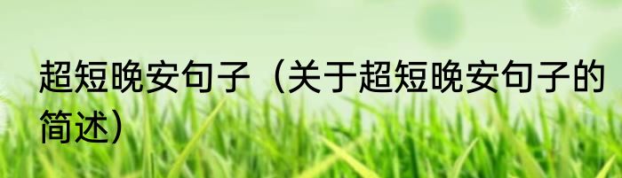 超短晚安句子（关于超短晚安句子的简述）