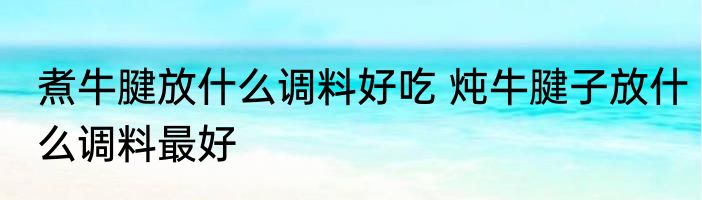 煮牛腱放什么调料好吃 炖牛腱子放什么调料最好
