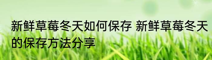 新鲜草莓冬天如何保存 新鲜草莓冬天的保存方法分享
