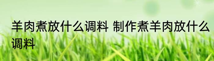 羊肉煮放什么调料 制作煮羊肉放什么调料
