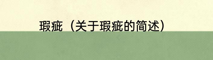 瑕疵（关于瑕疵的简述）