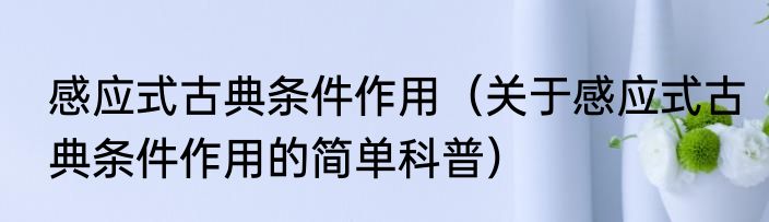 感应式古典条件作用（关于感应式古典条件作用的简单科普）