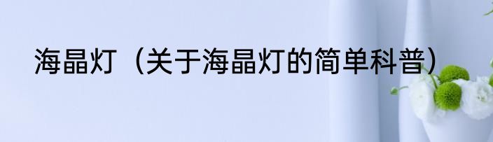 海晶灯（关于海晶灯的简单科普）