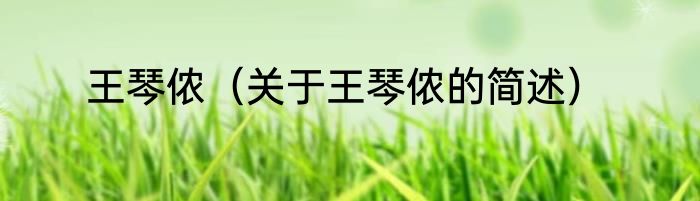 王琴侬（关于王琴侬的简述）