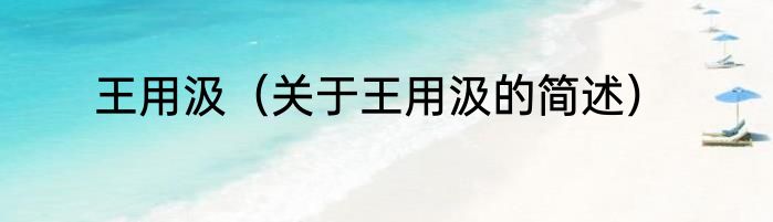 王用汲（关于王用汲的简述）