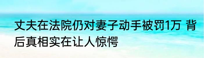 丈夫在法院仍对妻子动手被罚1万 背后真相实在让人惊愕