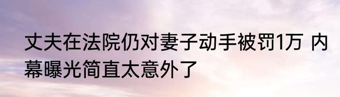 丈夫在法院仍对妻子动手被罚1万 内幕曝光简直太意外了